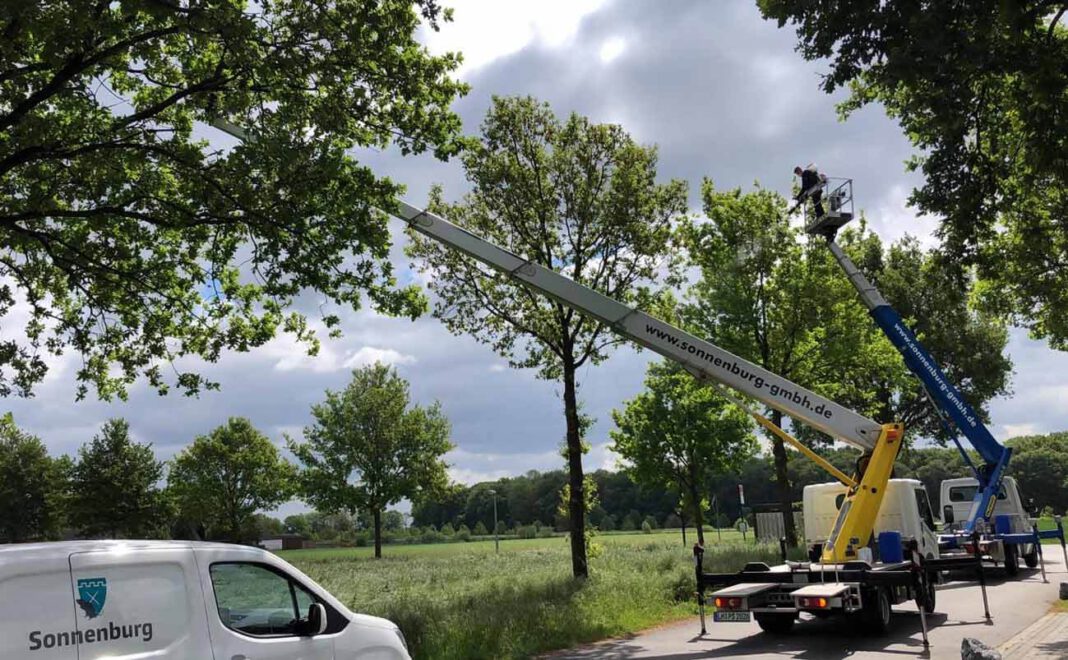 Sonnenburg1 Oft sitzen die Nester oben in den Eichen. Hier kommen die Schädlingsbekämpfer nur mit Hubwagen heran. Die Schutzausrüstung darf bei keinem Einsatz fehlen. Foto: Sonnenburg