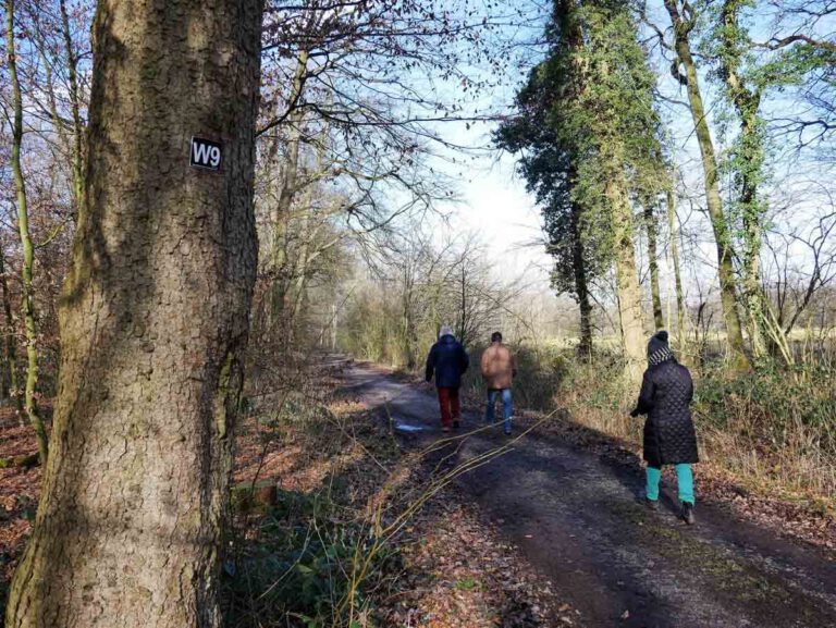 Auch der Wanderweg W9 ist gut besucht. Foto: Gaby Brüggemann