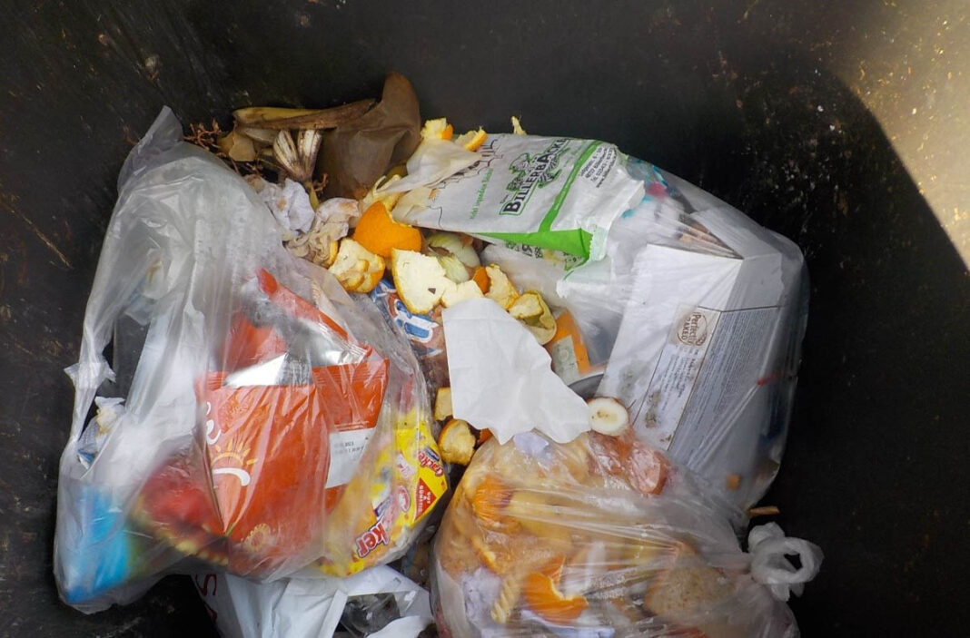 2021 03 11 PM Mülltonnenkontrollen Wir für Bio am 18.3. Diese Biotonne würde bei einer entsprechenden Kontrolle wohl nicht geleert. Foto: Gemeinde Ascheberg