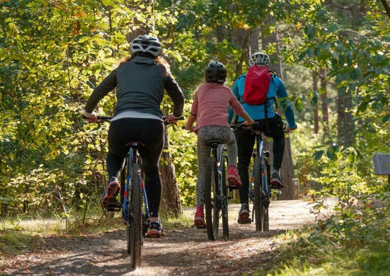 Mit dem Fahrrad können Familien im Kreis Unna auf Entdeckertour gehen. Symbolfoto: pixabay