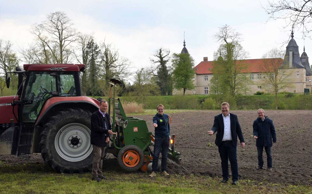 2021 05 12 PM Zusätzliche Blühflächen Herbern Bürgermeister Thomas Stohldreier (2.v.r.), Stefan Grünert, Rentmeister der Graf von Merveldt´schen Verwaltung (l.), Gerhard Reimann, Vorsitzender des Landwirtschaftlichen Ortsvereins Herbern (r.) und Tobias Großerichter (2.v.l.) haben Blumen auf Flächen in Herbern ausgesät. Foto: Gemeinde Ascheberg