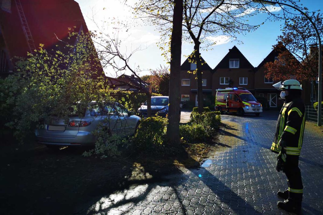 Feuerwehr_Baum auf Auto Eine Baumkrone war auf das Autodachs eines Anwohners der Käthe-Kollwitz-Straße gestürzt. Die Feuerwehr eilte zur Hilfe. Foto: Feuerwehr Werne