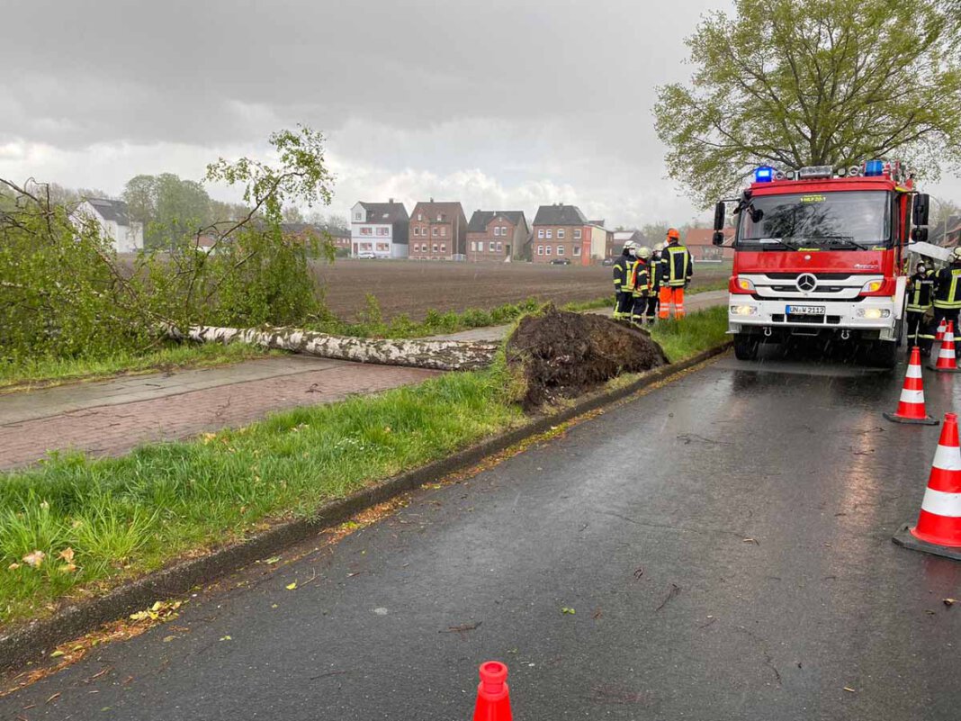 Feuerwehr_Baum entwurzelt Der Löschzug 1 Stadtmitte der Freiwilligen Feuerwehr Werne wurde per digitalem Meldeempfänger mit dem Stichwort