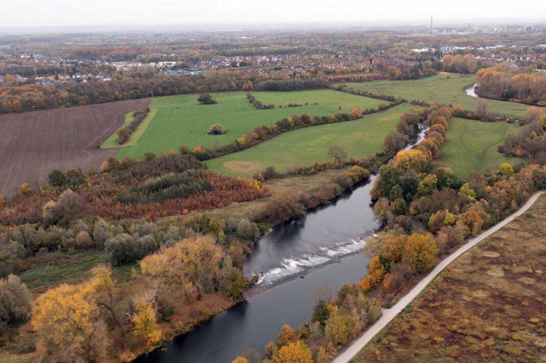 Lippeauen Hervorzuheben ist ein Grunderwerb von rund 3,4 Hektar in der Lippeaue in Werne. In Zusammenarbeit mit dem Lippeverband soll die Fläche naturnah entwickelt und damit ökologisch aufgewertet werden. Foto: Kreativshooting/T. Schütte
