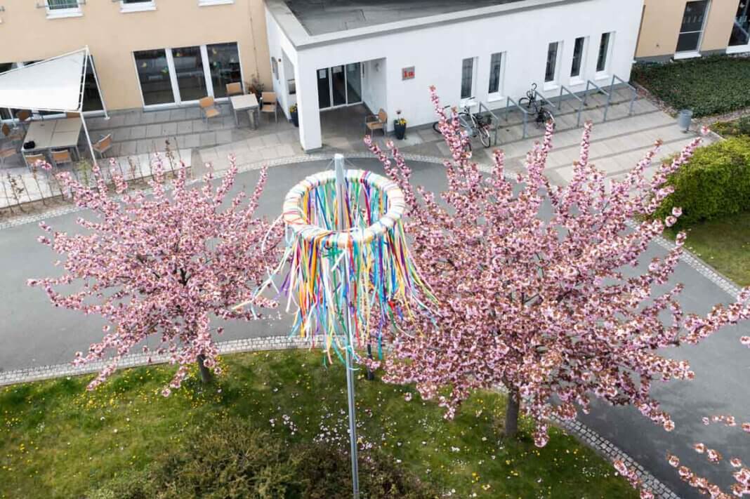 Maibaum02 Ein Maibaum mit Kranz und bunten Bändern zieht die Blicke am Malteserstift in Herbern auf sich. Foto: Isabel Schütte
