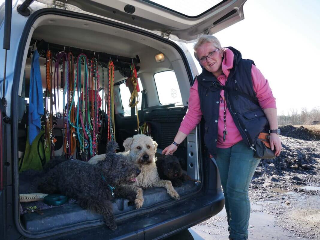 Müllhunde5 Kurzes Verschnaufen nach dem Rundgang, dann möchten die Vierbeiner am liebsten gleich wieder los. Ina Katrin Sticken mit Elroy, Gassi-Hund Kröte und Donatello. Foto: Gaby Brüggemann
