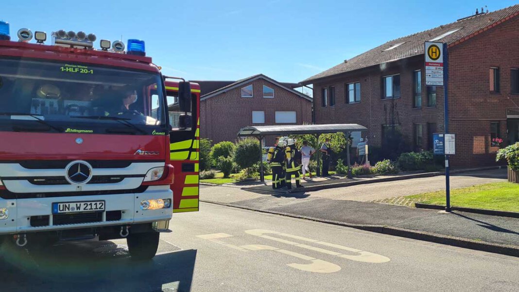 Feuerwehr_Baum brennt An der Butenlandwehr fing ein Baum Feuer, weil zuvor ein Anwohner Unkraut wegflämmen wollte. Foto: Feuerwehr Werne