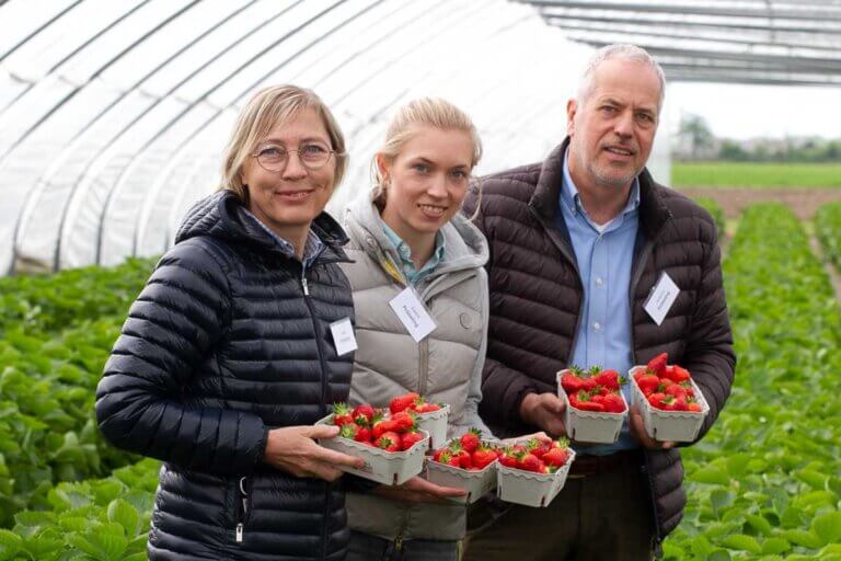 Anne, Sophia und Hubertus Pröbsting hofften auf besseres Wetter, damit die Erdbeerernte so richtig Fahrt aufnehmen kann. Sie wurden erhört. Foto: Isabel Schütte