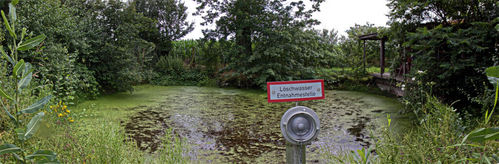 Der eigentliche Ursprung der Horne liegt in diesem idyllischen Löschteich auf dem Mayknapp bei Herbern. Foto: Steinmüller