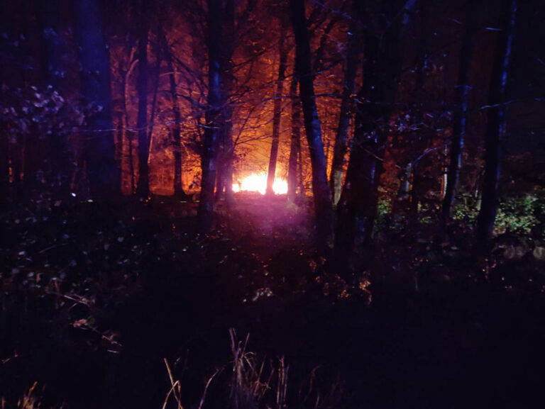 Der unklare Feuerschein entpuppte sich als brennende Hütte in einem Waldstück, die schon von weitem zu erkennen war. Foto: Freiwillige Feuerwehr Werne