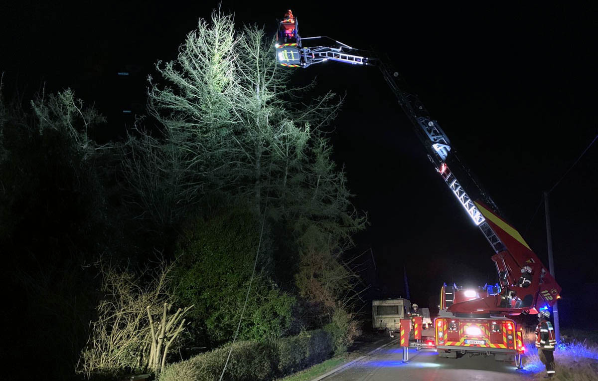 Mit der nachbeorderten Drehleiter beseitigte die Freiwillige Feuerwehr die Gefahr, die von einem Baum ausging. Foto: Feuerwehr Werne
