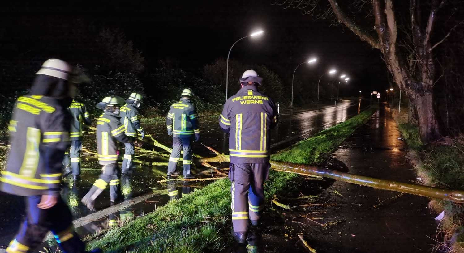 In der vergangenen Nacht räumte die Freiwillige Feuerwehr Werne einen umgestürzten Baum von der Kamener Straße. Foto: Feuerwehr Werne