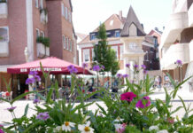 Dank der Pflanzenauswahl eigenen sich die Flower pots und Blumenampeln jeweils auch zum „Fly inn“ für Bienen, Hummeln & Co. Foto: Gaby Brüggemann