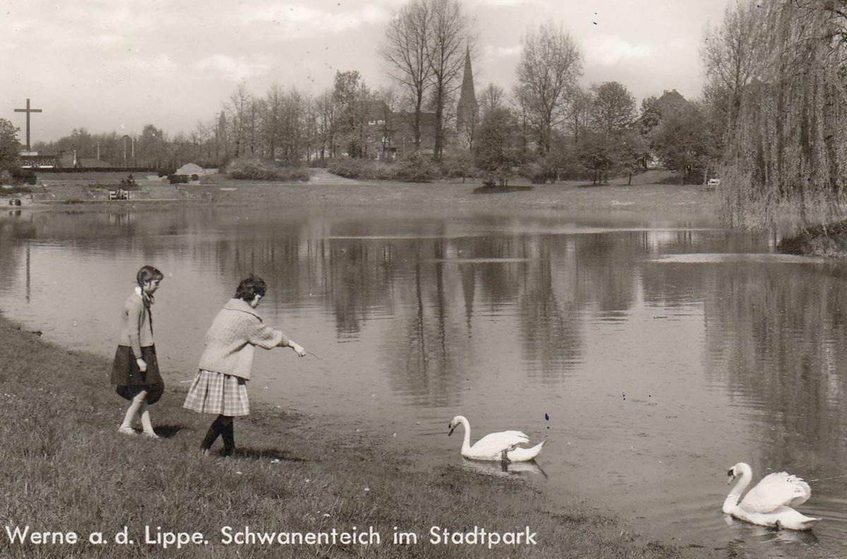 Ein Schwanenpaar war in den 1930er-Jahren der ganze Stolz der Stadt Werne auf dem „Teich am Hagen“. Foto: Archiv Rainer Schulz