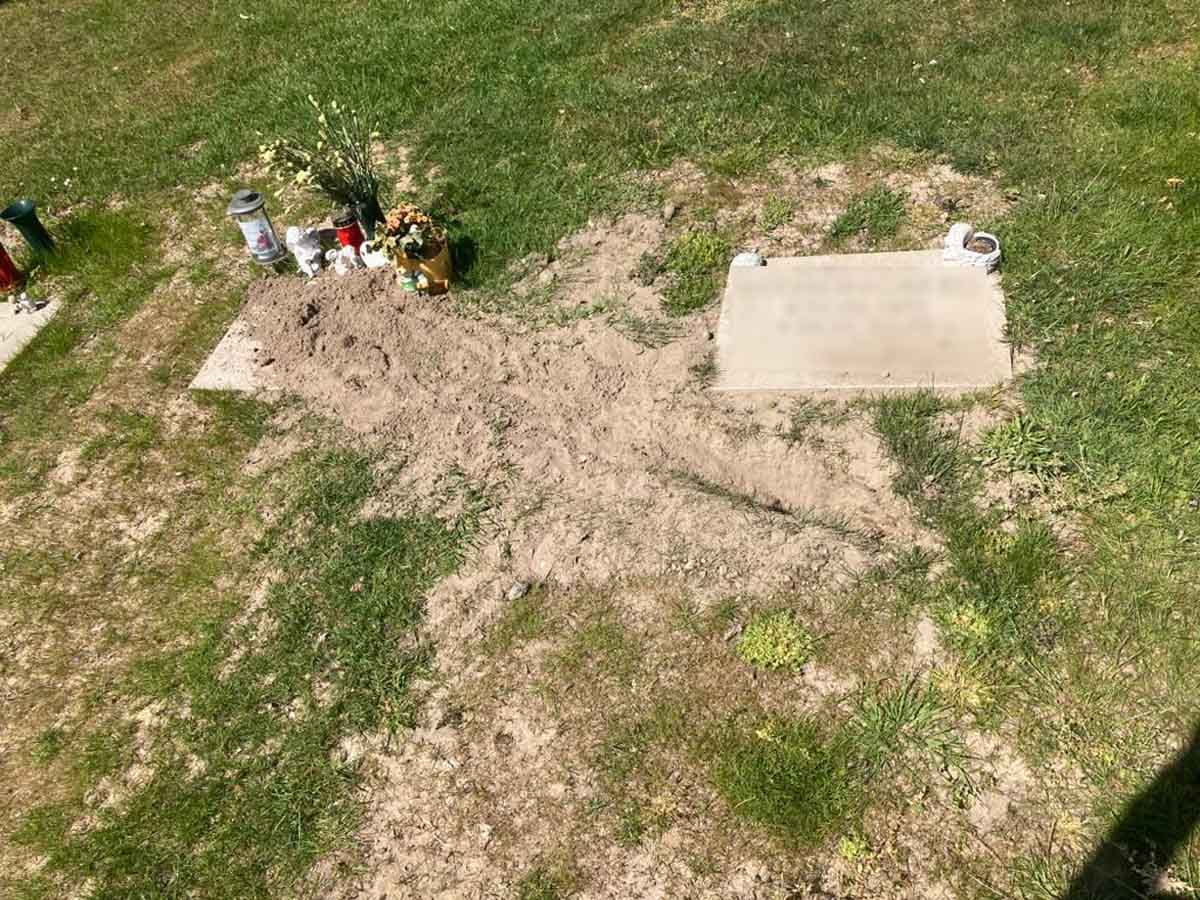 Die Wildkaninchen hinterlassen eine Spur der Verwüstung auf dem Friedhof Capelle Foto: Gemeinde Nordkirchen