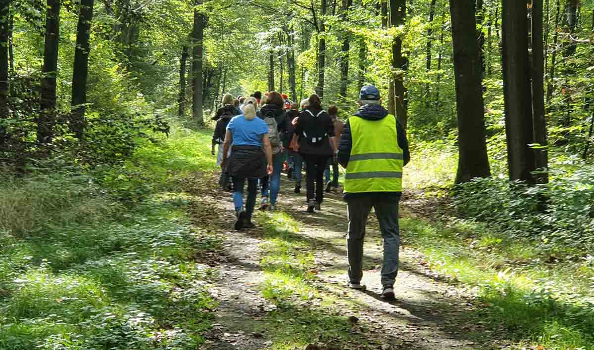 Einer reizvollen Strecke in Ehringhausen folgten rund 60 Teilnehmende beim 51. Volkswandertag des Stadtsportverbandes. Foto: SSV