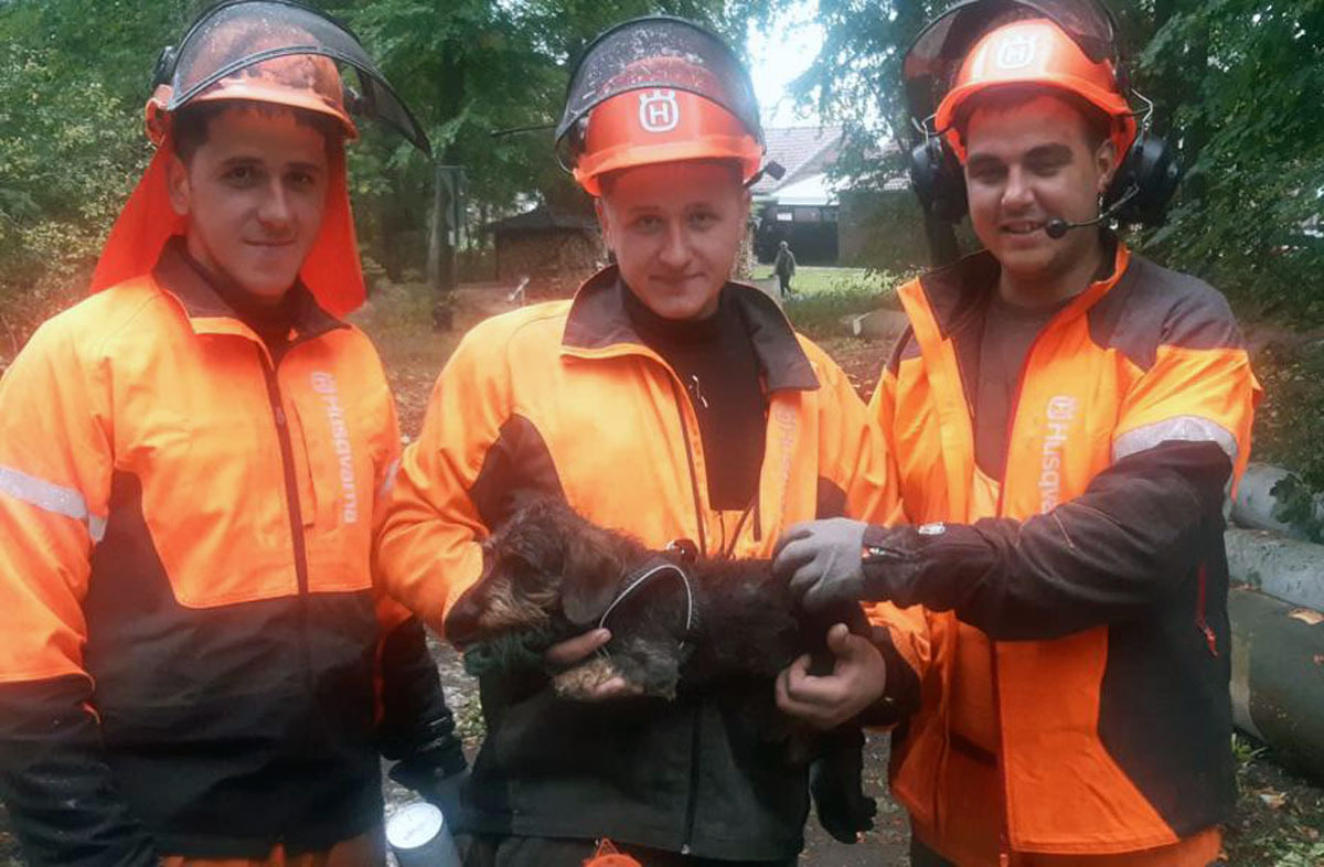 Diese drei Forstarbeiter fanden den abgemagerten Dackelrüden Alfie, der acht Tage lang vermisst wurde. Foto: privat