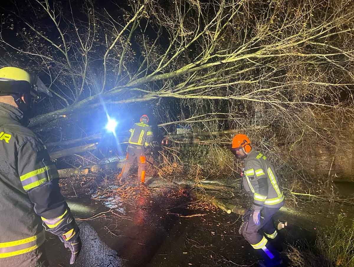 Vorwiegend umgestürzte Bäume, wie hier in Wessel, hielten die Freiwillige Feuerwehr Werne in Atem. Foto: FFW