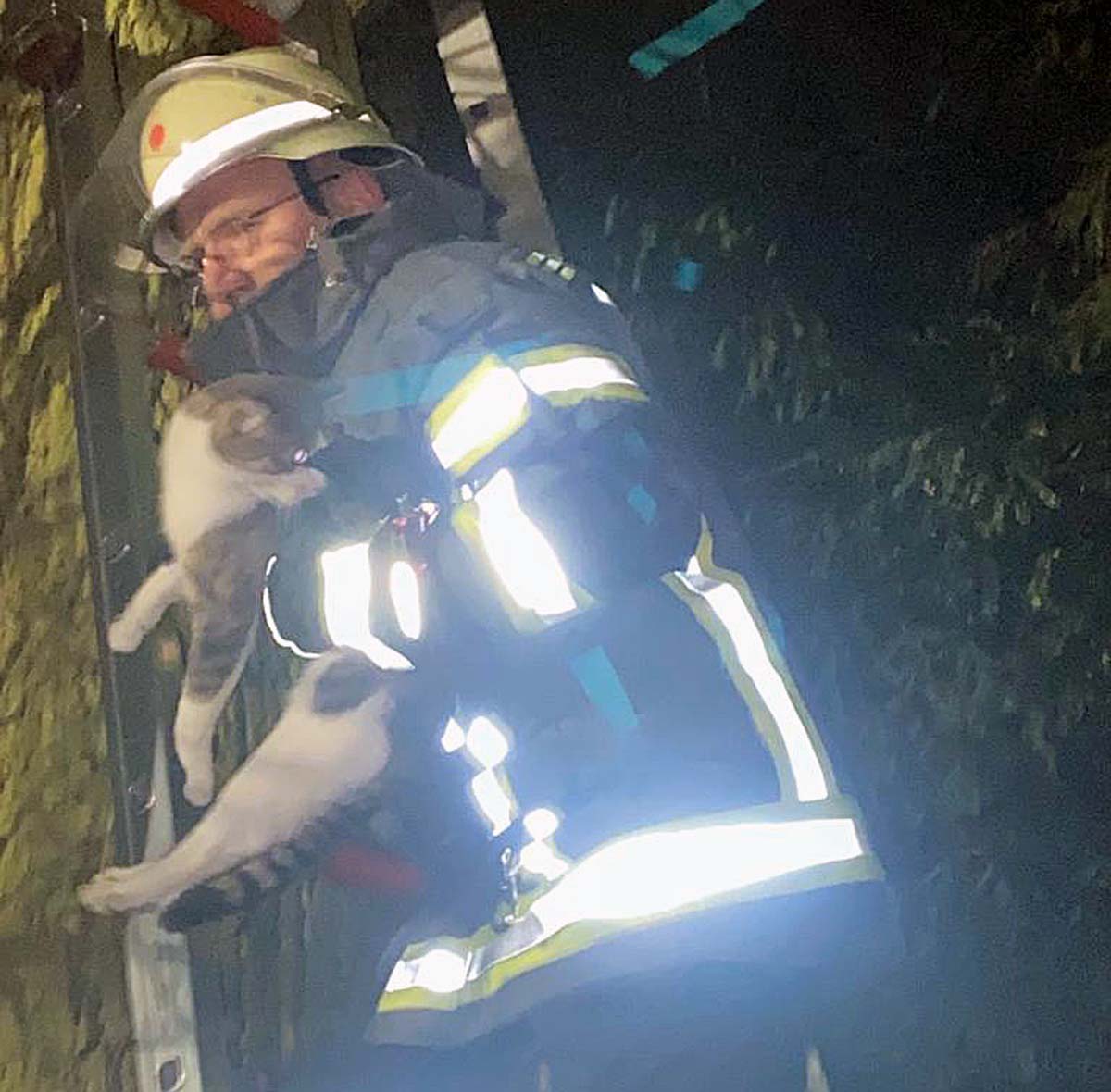 Ein Kamerad der Löschgruppe Langern holte die Katze schließlich vom Baum. Foto: Feuerwehr Werne