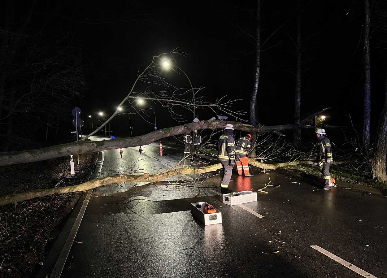 Ein Baum versperrte den Goetheweg in Werne-Mitte. Die Freiwillige Feuerwehr rückte aus. Fotos: FFW