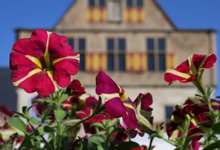 Blumen- und Spargelmarkt in Werne