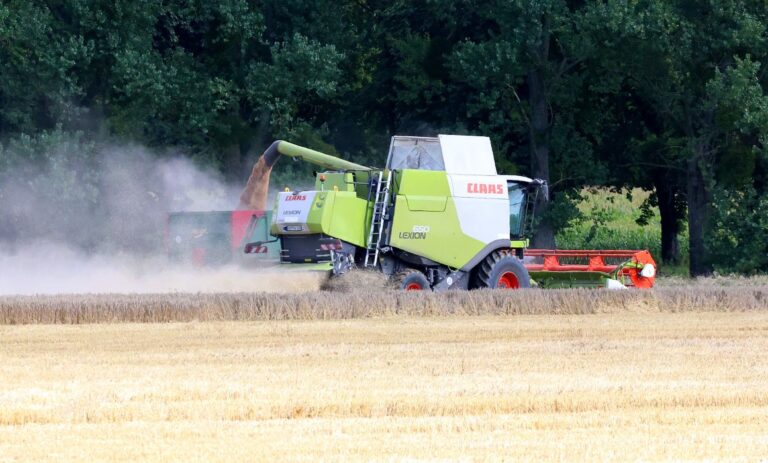 Bis zu 40 Prozent weniger Ertrag bei der Getreideernte in Werne