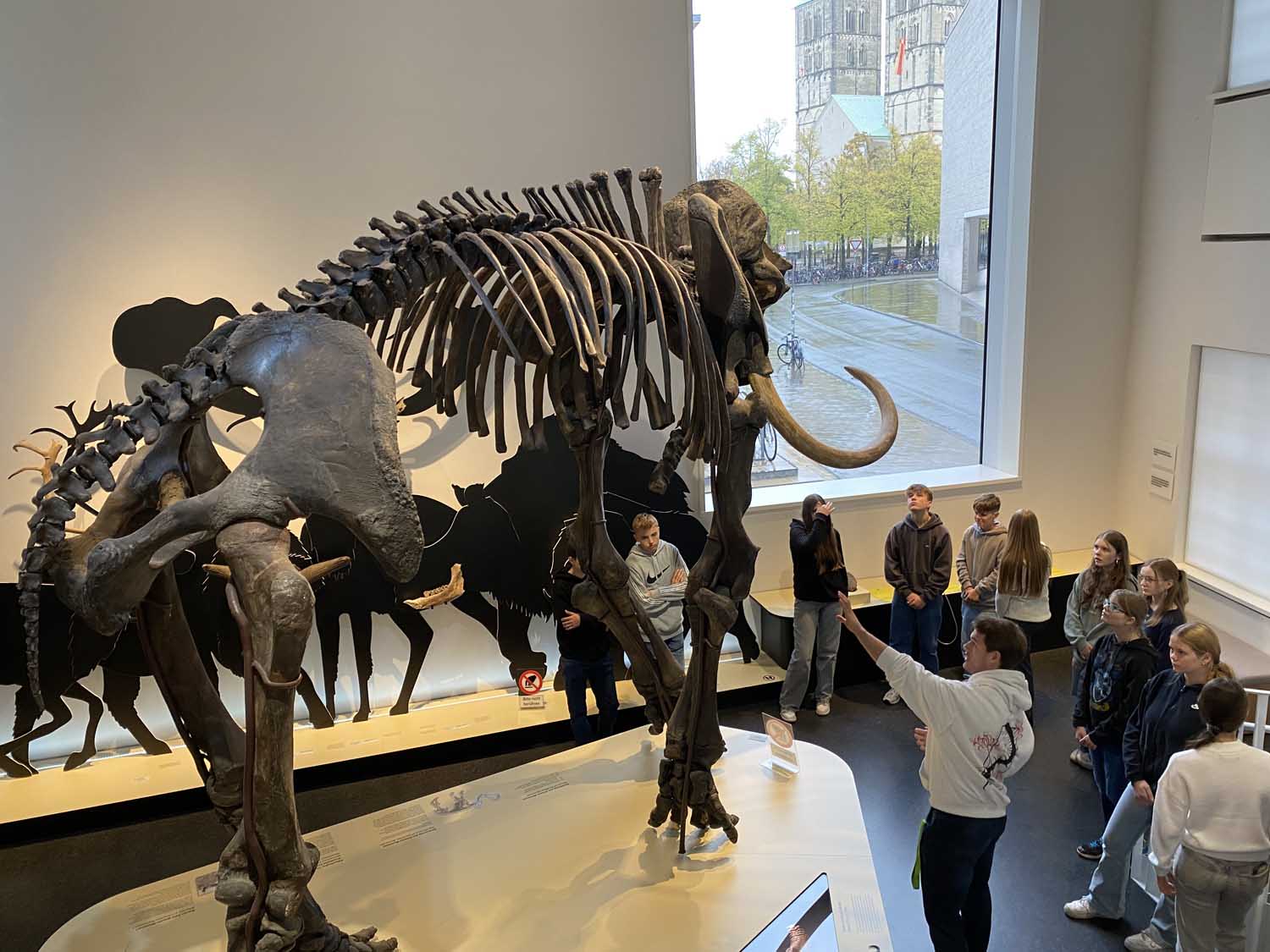 Die Klasse 9a des Gymnasiums St. Christophorus besuchte das Geomuseum in Münster. Foto: GSC