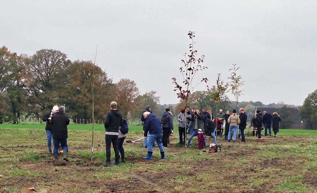 Die zweite Pflanzaktion im neuen Bürgerwald III an der Straße Lange Hege fand am vergangenen Wochenende statt. Foto: Stadt Werne